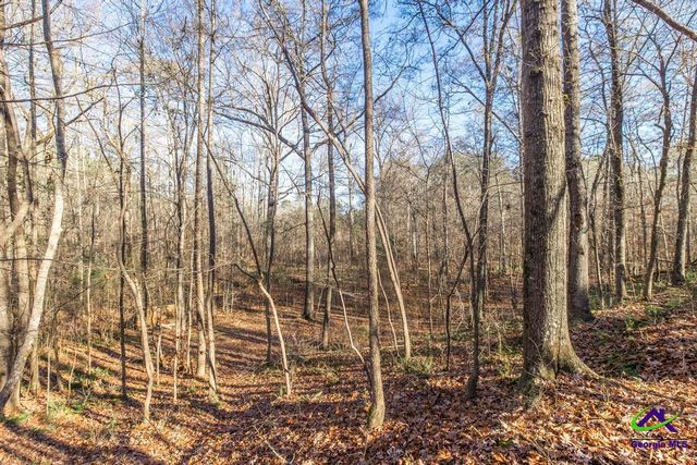 281 Back in the Woods Way, Milledgeville, GA 31060