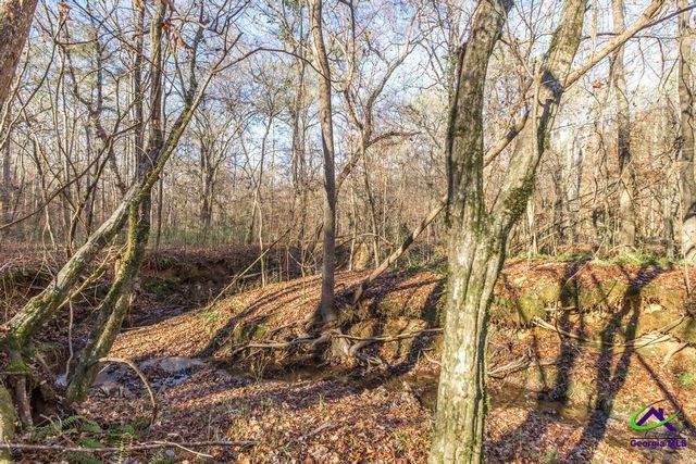 281 Back in the Woods Way, Milledgeville, GA 31060