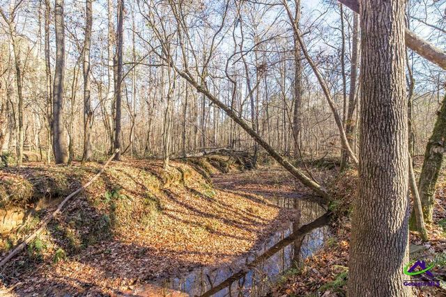 281 Back in the Woods Way, Milledgeville, GA 31060