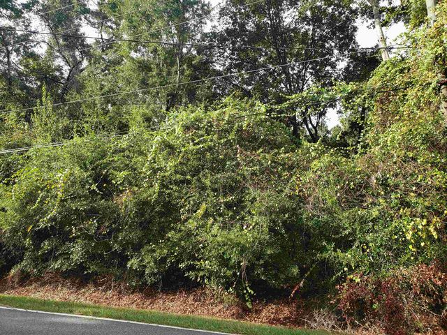 0 Lonnie Road, Tallahassee, FL 32308