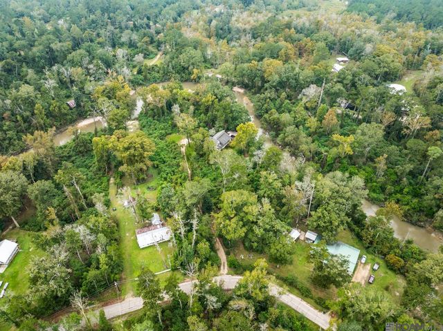 31665 Tickfaw Acres Rd, Holden, LA 70744