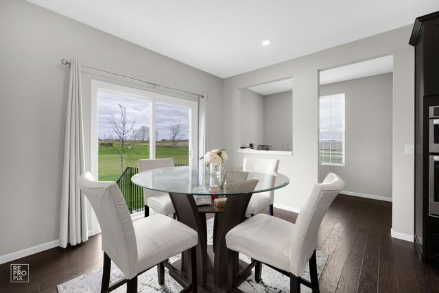 24502 W Magnetic Way, Plainfield, IL 60544