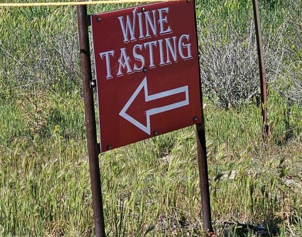 31139 Highway 94, Campo, CA 91906