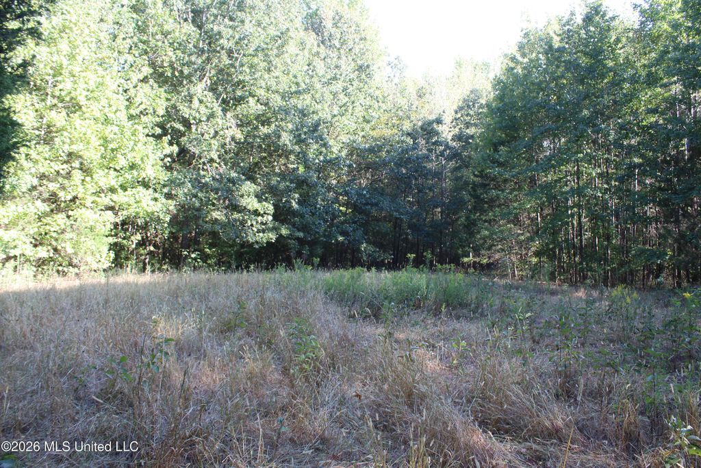 13 Star Landing Road, Nesbit, MS 38651 — photo 2
