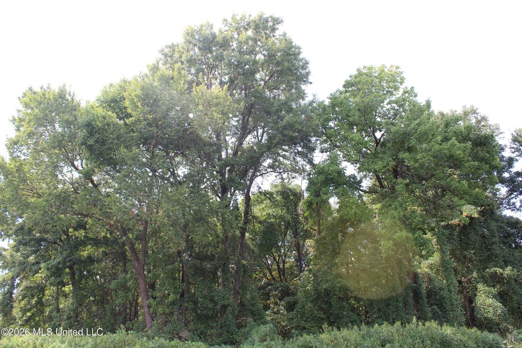 13 Star Landing Road, Nesbit, MS 38651 — photo 4