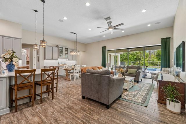 21882 BUTTERFLY KISS DRIVE, Land O Lakes, FL 34637