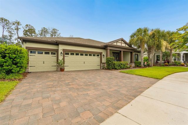 21882 BUTTERFLY KISS DRIVE, Land O Lakes, FL 34637
