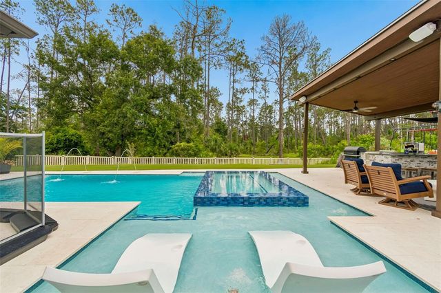 21882 BUTTERFLY KISS DRIVE, Land O Lakes, FL 34637