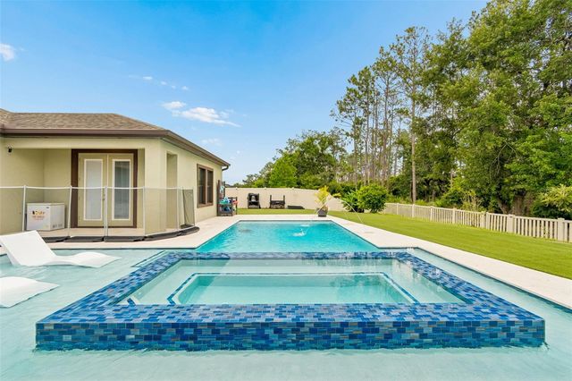 21882 BUTTERFLY KISS DRIVE, Land O Lakes, FL 34637
