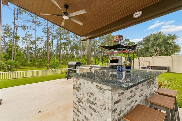 21882 BUTTERFLY KISS DRIVE, Land O Lakes, FL 34637