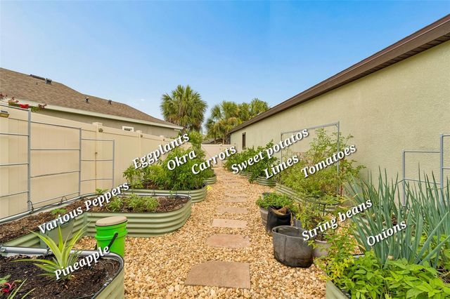 21882 BUTTERFLY KISS DRIVE, Land O Lakes, FL 34637