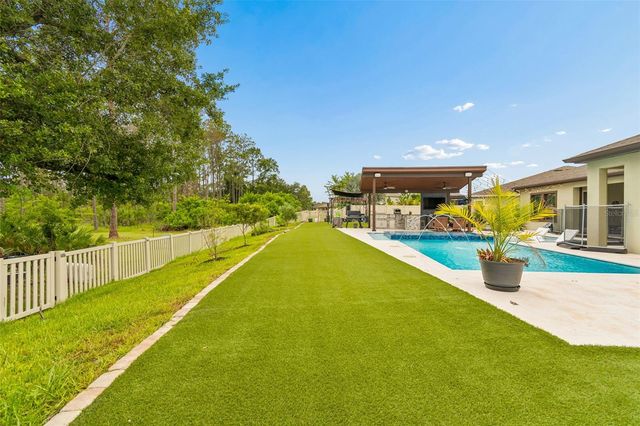 21882 BUTTERFLY KISS DRIVE, Land O Lakes, FL 34637