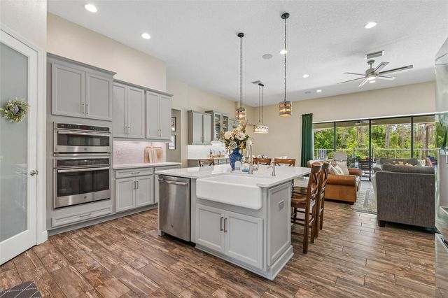 21882 BUTTERFLY KISS DRIVE, Land O Lakes, FL 34637