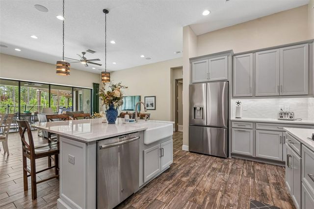 21882 BUTTERFLY KISS DRIVE, Land O Lakes, FL 34637
