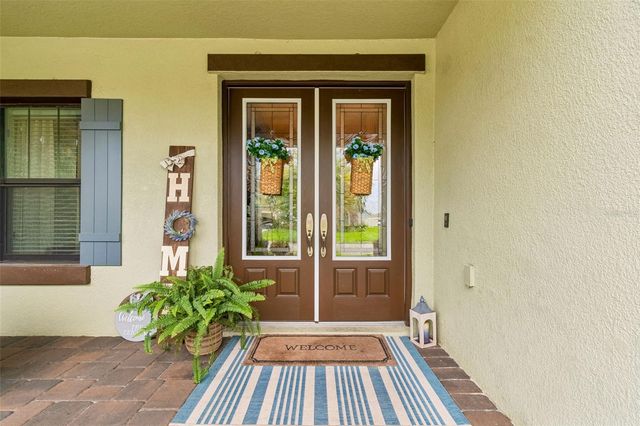 21882 BUTTERFLY KISS DRIVE, Land O Lakes, FL 34637