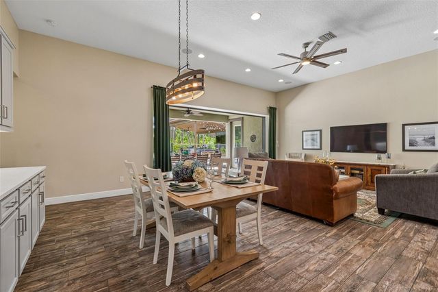21882 BUTTERFLY KISS DRIVE, Land O Lakes, FL 34637