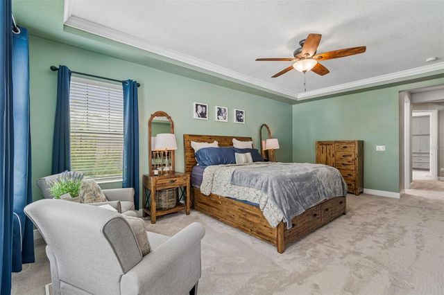 21882 BUTTERFLY KISS DRIVE, Land O Lakes, FL 34637