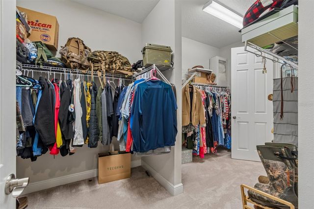21882 BUTTERFLY KISS DRIVE, Land O Lakes, FL 34637