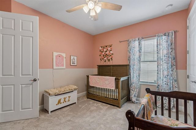 21882 BUTTERFLY KISS DRIVE, Land O Lakes, FL 34637