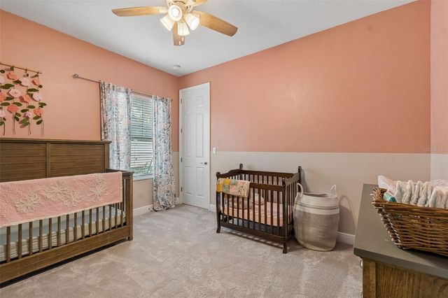 21882 BUTTERFLY KISS DRIVE, Land O Lakes, FL 34637