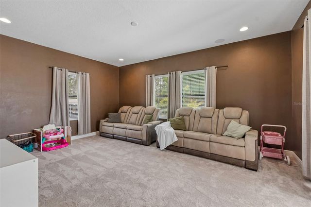 21882 BUTTERFLY KISS DRIVE, Land O Lakes, FL 34637