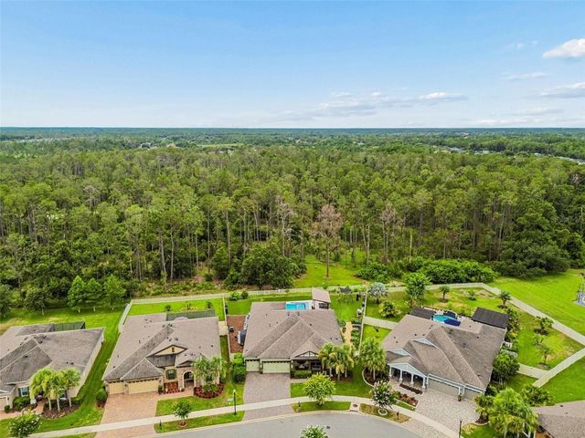 21882 BUTTERFLY KISS DRIVE, Land O Lakes, FL 34637