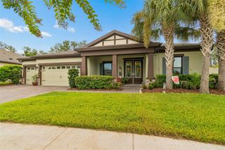 21882 BUTTERFLY KISS DRIVE, Land O Lakes, FL 34637
