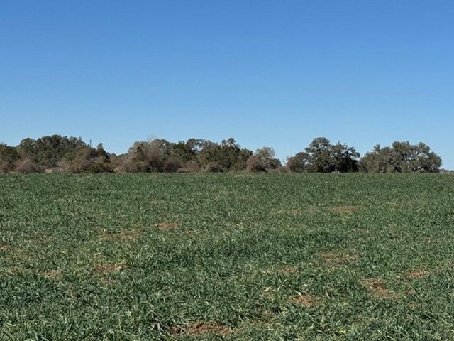 TBD Wolters And Kainer Road, Schulenburg, TX 78956