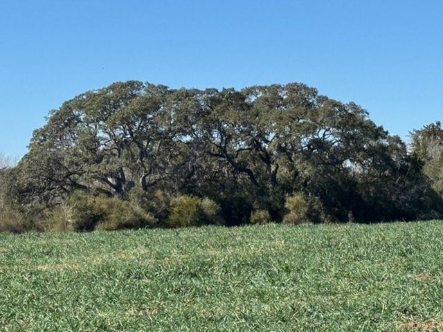 TBD Wolters And Kainer Road, Schulenburg, TX 78956