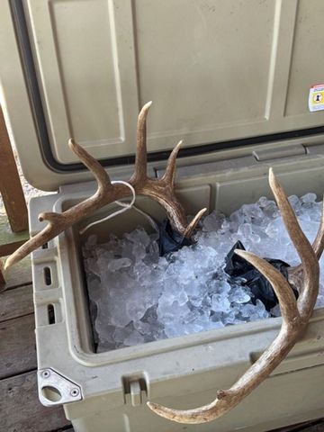 TBD Wolters And Kainer Road, Schulenburg, TX 78956