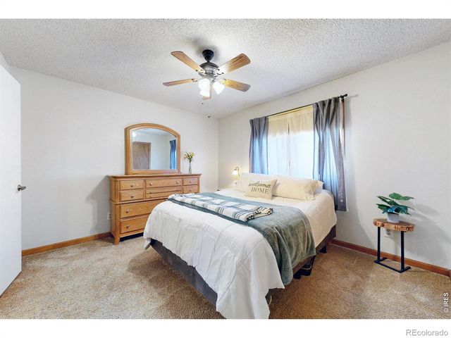 4101 Scilla Place, Loveland, CO 80537