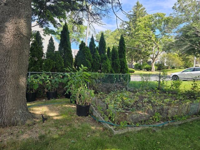 203 Burncoat St, Worcester, MA 01606