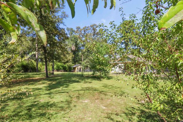 20985 Lee Lane, Chandler, TX 75758