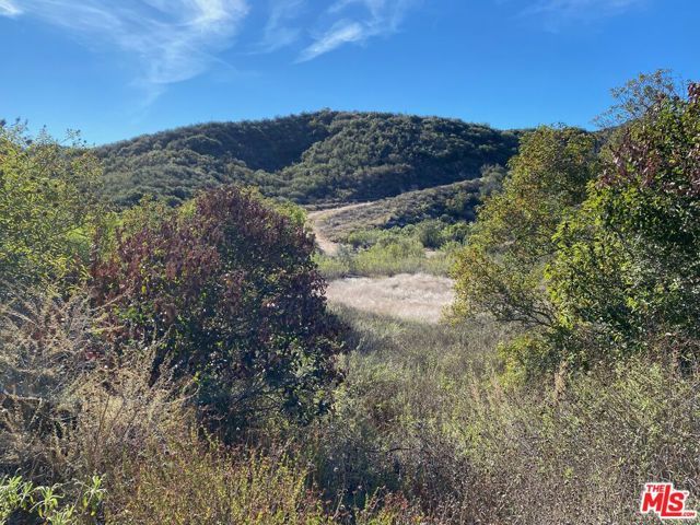 23629 Zuniga Road, Topanga (los Angeles), CA 90290