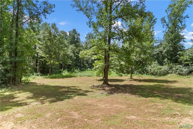 13039 Raintree, Duncanville, AL 35456