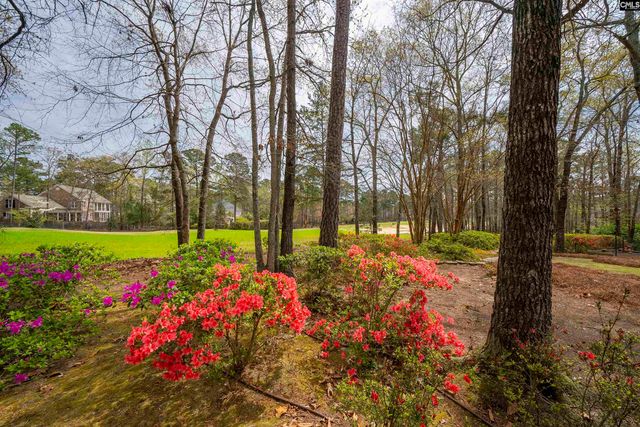 206 Beaver Lake Drive, Columbia, SC 29223