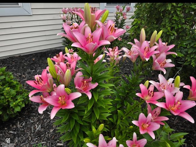 5972 E Montevista Drive, Fort Gratiot Twp, MI 48059