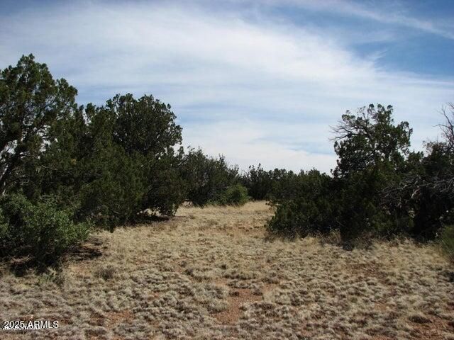 Sec 29 T14N, R17E: parcel 6 -- '''-''', Heber, AZ 85928