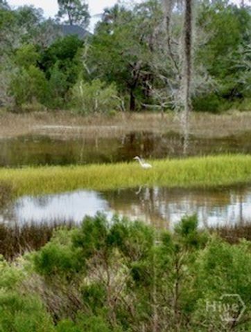 39 Franklin Creek Road S, Savannah, GA 31411