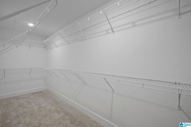 1132 BIRCHWOOD LANE, Alabaster, AL 35007