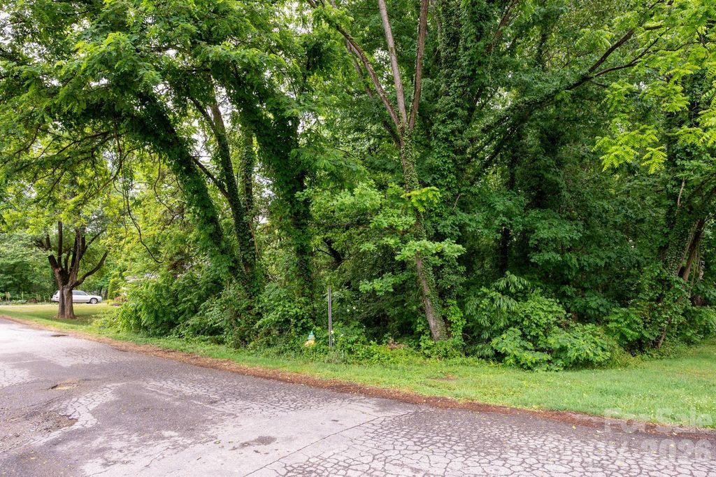 99 Maple Avenue 1, Candler, NC 28715