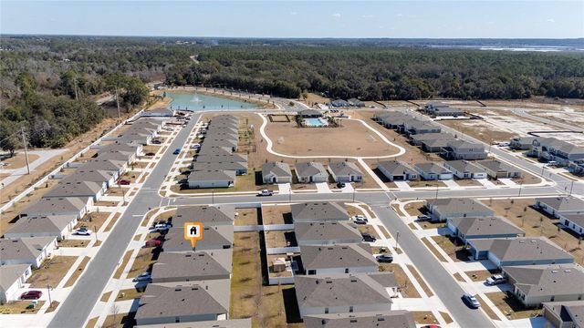 955 BEAR HAMMOCK DRIVE, Umatilla, FL 32784