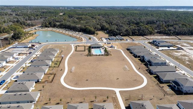 955 BEAR HAMMOCK DRIVE, Umatilla, FL 32784