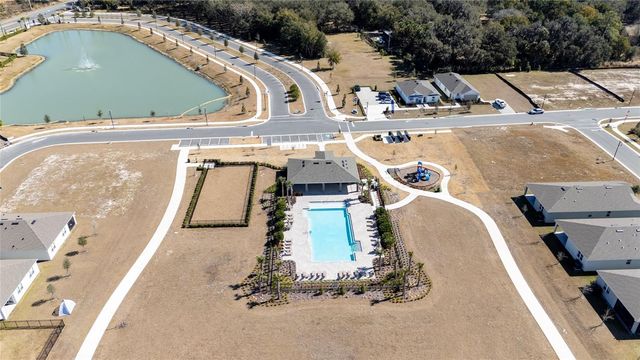 955 BEAR HAMMOCK DRIVE, Umatilla, FL 32784