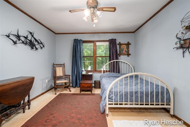 8775 Peck Lake Road, Saranac, MI 48881