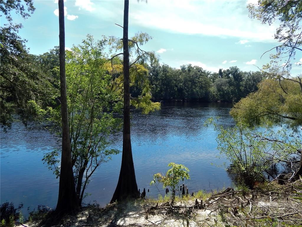 1357 NE 930TH STREET, Old Town, FL 32680