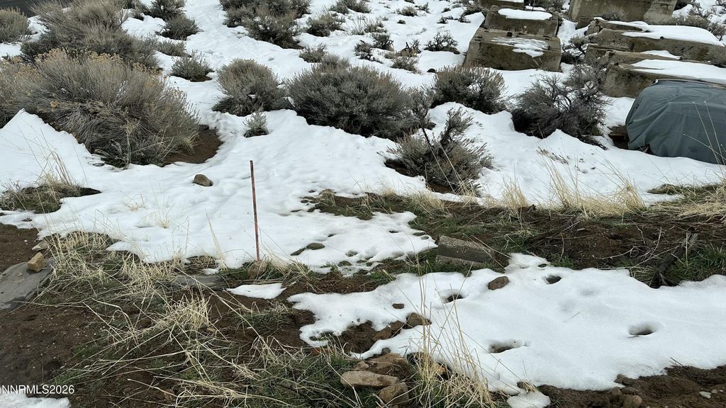 Image 15 of property listing at 430 S F Street, Virginia City, NV 89440