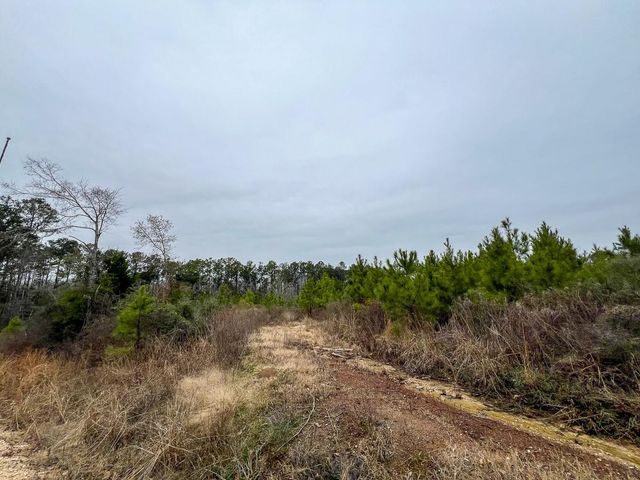 2 Fm 2626, Newton, TX 75966