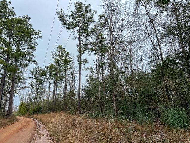 2 Fm 2626, Newton, TX 75966