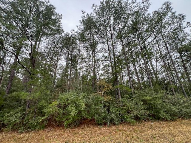 2 Fm 2626, Newton, TX 75966